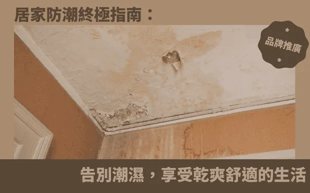 居家防潮終極指南：告別潮濕，享受乾爽舒適的生活
