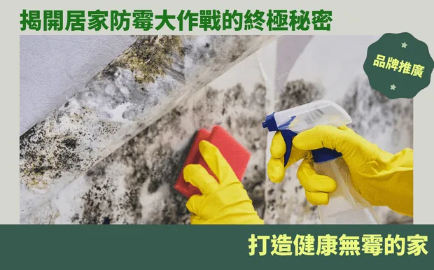 揭開居家防霉大作戰的終極秘密:打造健康無霉的家