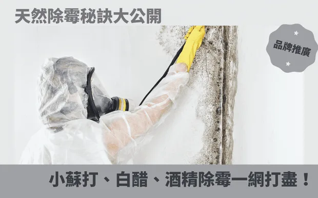 天然除霉秘訣大公開：小蘇打、白醋、酒精除霉一網打盡！